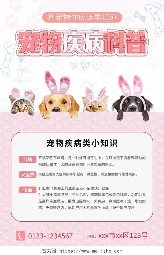 粉色背景简约风格宠物疾病科普宣传海报宠物海报
